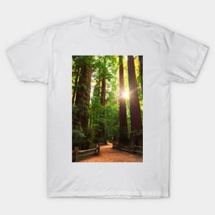 Redwood Forest T-Shirt